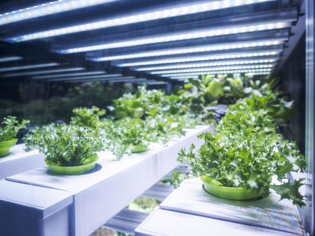 Indoor-farming